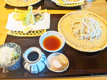 【博多南】最高の天もりそば「手打ち蕎麦いの上」